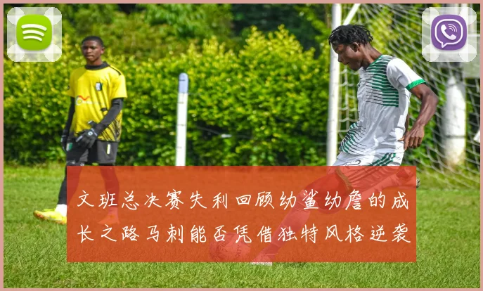 文班总决赛失利回顾幼鲨幼詹的成长之路马刺能否凭借独特风格逆袭成功